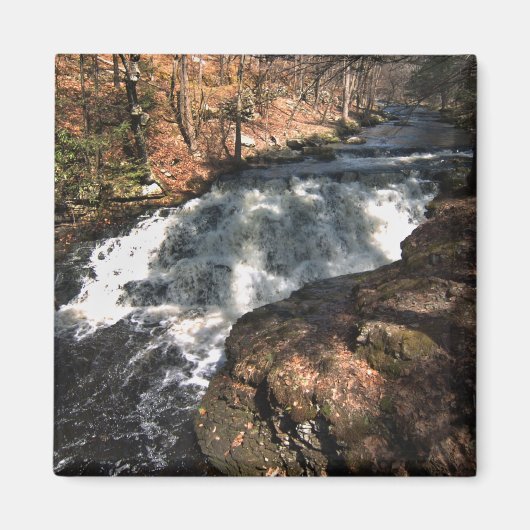 Waterval - Bushkill Falls Magneet (Voorkant)