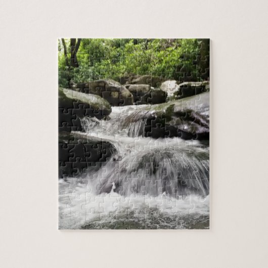 Waterval Cascades Great Smoky Mountains Legpuzzel (Verticaal)