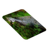 Waterval | Cuyahoga Valley Ohio Magneet (Rechterzijde)