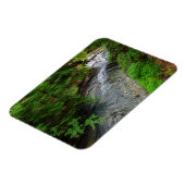 Waterval | Cuyahoga Valley Ohio Magneet (Linkerzijde)