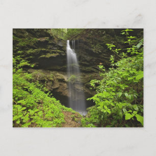 Waterval die in zinkgat valt, Whiteoak Sink, Briefkaart