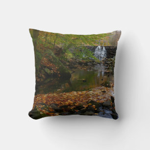 Waterval en beek in Pennsylvania in de herfst Kussen