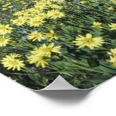 Waterval en wilde bloemen in alpenwei 2 poster (Hoek)