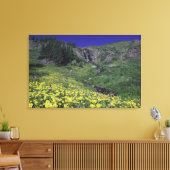 Waterval en wilde bloemen in alpiene weide, 2 canvas afdruk (Insitu (Woonkamer))