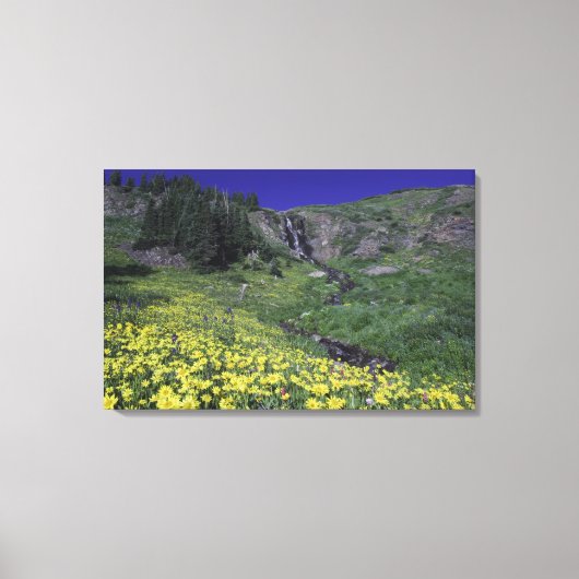Waterval en wilde bloemen in alpiene weide, 2 canvas afdruk (Voorkant)