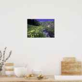 Waterval en wilde bloemen in alpiene weide, 2 poster (Keuken)