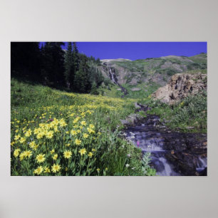 Waterval en wilde bloemen in alpiene weide, 2 poster