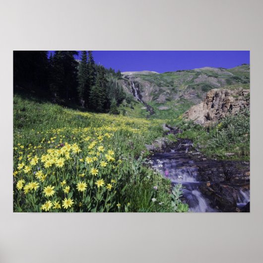 Waterval en wilde bloemen in alpiene weide, 2 poster (Voorkant)