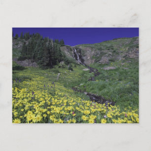 Waterval en wilde bloemen in alpiene weide, 3 briefkaart