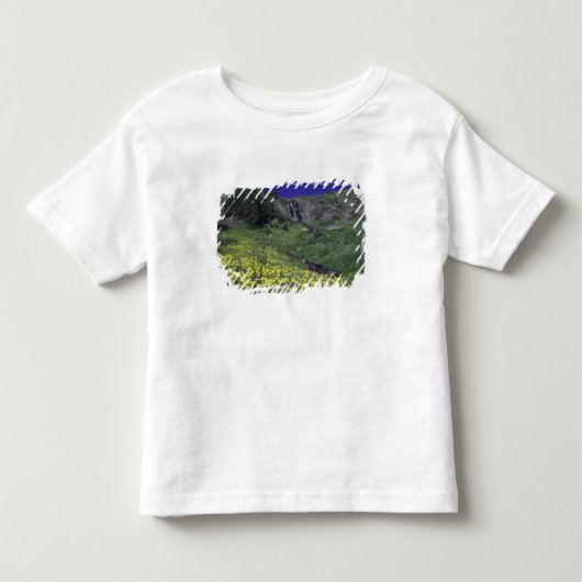 Waterval en wilde bloemen in alpiene weide, 3 kinder shirts (Voorkant)