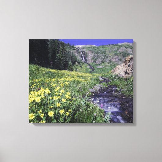 Waterval en wilde bloemen in alpiene weide, canvas afdruk (Voorkant)