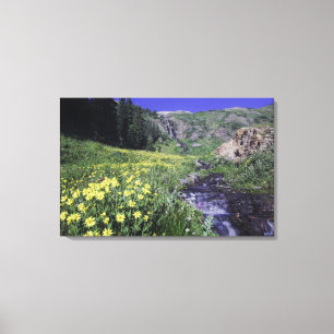 Waterval en wilde bloemen in alpiene weide, canvas afdruk