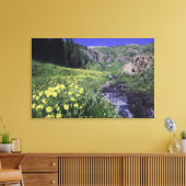 Waterval en wilde bloemen in alpiene weide, canvas afdruk (Insitu (Woonkamer))