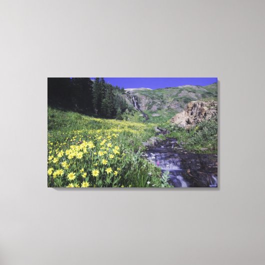 Waterval en wilde bloemen in alpiene weide, canvas afdruk (Voorkant)