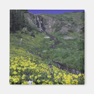 Waterval en wilde bloemen in alpiene weide, magneet