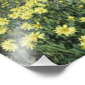 Waterval en wilde bloemen in de alpenweide foto afdruk (Hoek)