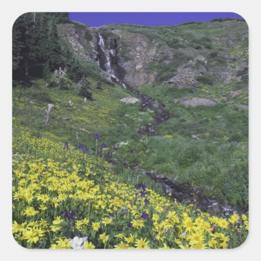 Waterval en wilde bloemen in de alpenweide vierkante sticker (Voorkant)