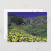 Waterval en wilde bloemen in het alpenweide, 3 briefkaart (Voorkant / Achterkant)