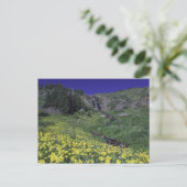 Waterval en wilde bloemen in het alpenweide, 3 briefkaart (Staand voorkant)
