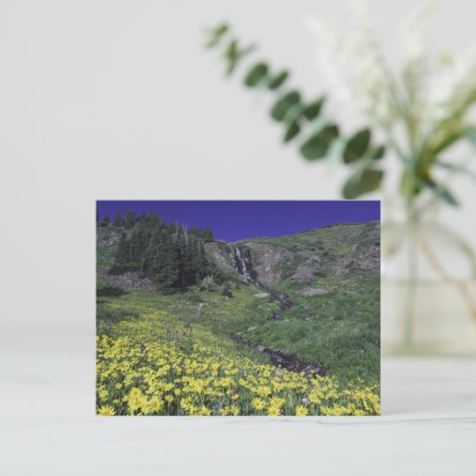 Waterval en wilde bloemen in het alpenweide, 3 briefkaart (Staand voorkant)