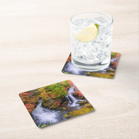 Waterval | Faucet Waterfall Nikko Japan Herfst Kartonnen Onderzetters (Insitu)