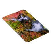 Waterval | Faucet Waterfall Nikko Japan Herfst Magneet (Rechterzijde)