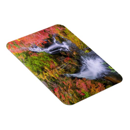 Waterval | Faucet Waterfall Nikko Japan Herfst Magneet (Rechterzijde)