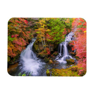 Waterval   Faucet Waterfall Nikko Japan Herfst Magneet