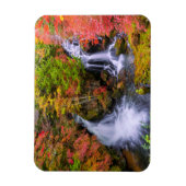 Waterval | Faucet Waterfall Nikko Japan Herfst Magneet (Verticaal)