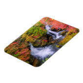 Waterval | Faucet Waterfall Nikko Japan Herfst Magneet (Linkerzijde)