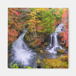 Waterval   Faucet Waterfall Nikko Japan Herfst Magneet
