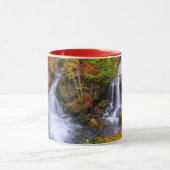 Waterval | Faucet Waterfall Nikko Japan Herfst Mok (Midden)