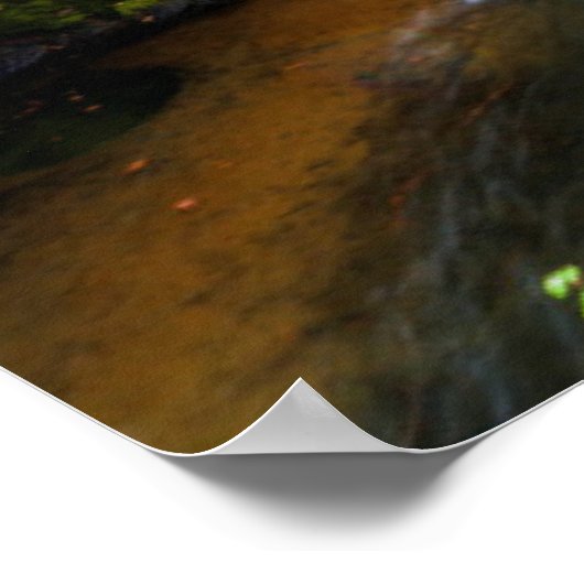 Waterval | Faucet Waterfall Nikko Japan Herfst Poster (Hoek)