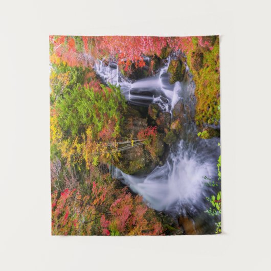 Waterval | Faucet Waterfall Nikko Japan Herfst Wandkleed (Voorkant)