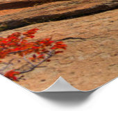 Waterval | Fitz Roy Mountain, Argentinië Poster (Hoek)