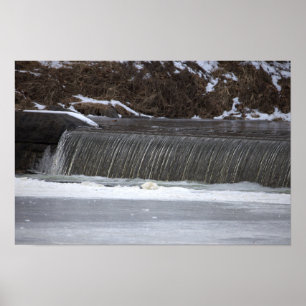 Waterval Foto Poster