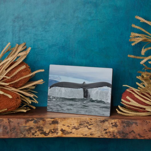 Waterval Fotoplaat (Zijkant)