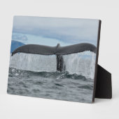 Waterval Fotoplaat (Zijkant)