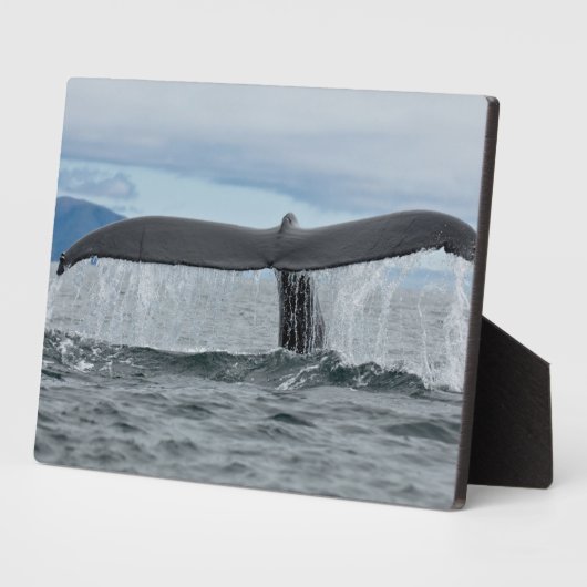 Waterval Fotoplaat (Zijkant)