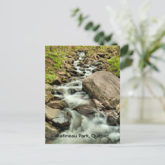 Waterval, Gatineau Park, Quebec Briefkaart (Staand voorkant)