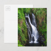 Waterval, Hamakua-kust, Hawaii Briefkaart (Voorkant / Achterkant)