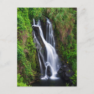 Waterval, Hamakua-kust, Hawaii Briefkaart