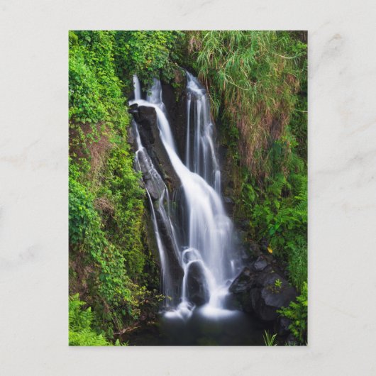 Waterval, Hamakua-kust, Hawaii Briefkaart (Voorkant)