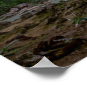 Waterval | Havasu-Herfsten op Sunset Poster (Hoek)