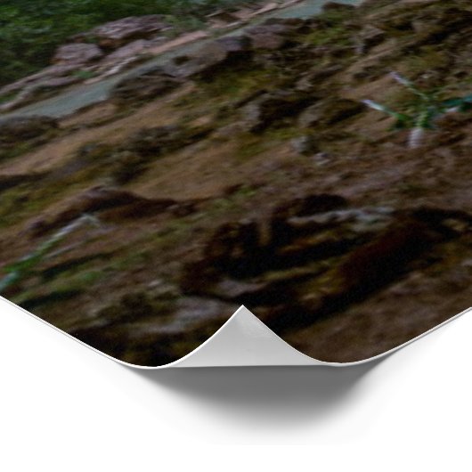 Waterval | Havasu-Herfsten op Sunset Poster (Hoek)