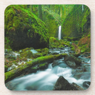 Waterval   Herfsten van Grotto, Oregon Bier Onderzetter