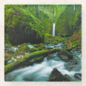 Waterval | Herfsten van Grotto, Oregon Glazen Onderzetter (Voorkant)