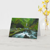 Waterval | Herfsten van Grotto, Oregon Kaart (Gele Bloem)