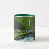 Waterval | Herfsten van Grotto, Oregon Mok (Midden)