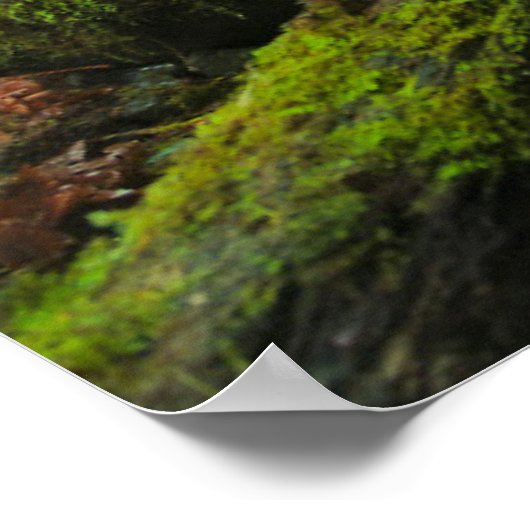 Waterval | Herfsten van Grotto, Oregon Poster (Hoek)